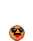zippy 117